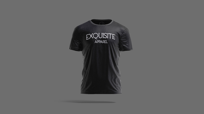 Exquisite Apparel embroidered logo's slim fit t-shirt (BLACK)